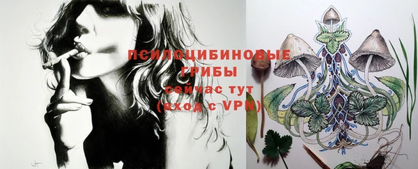 ALPHA PVP Горняк