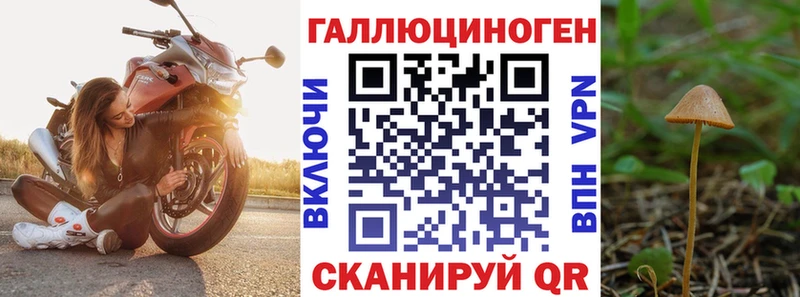 Купить закладки  Коломна  Галлюциногенные грибы Psilocybe 